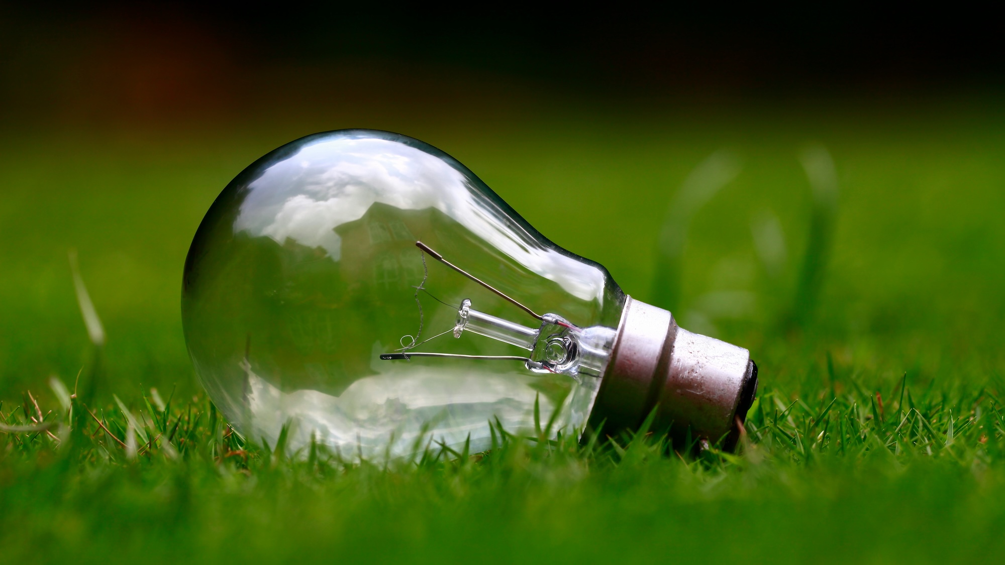 Ashes Sitoula Unsplash photo of a lighbulb on grass