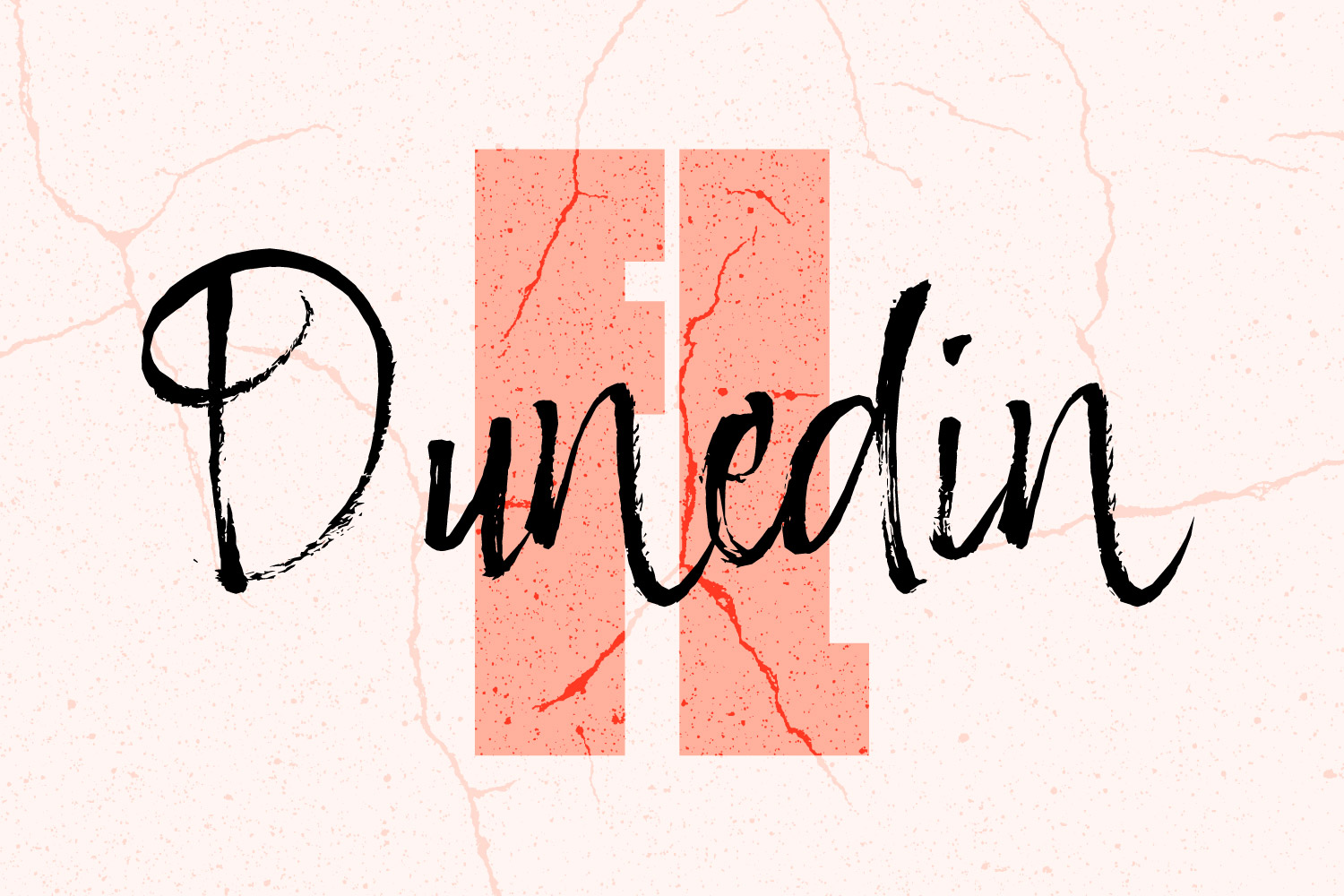 Custom Dunedin illustration.