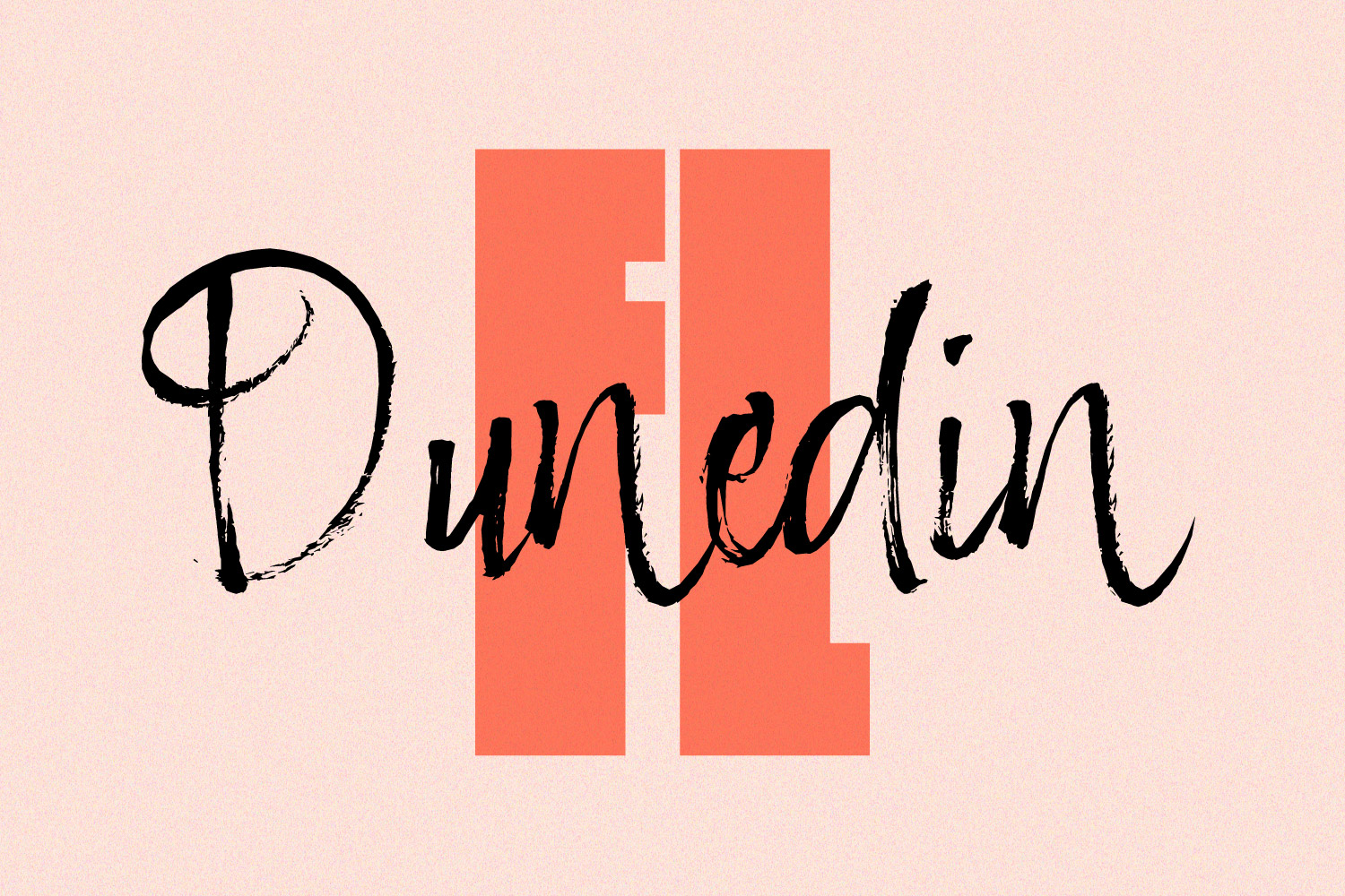 Custom Dunedin illustration.